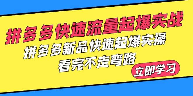 拼多多-快速流量起爆实战，拼多多新品快速起爆实操，看完不走弯路-网创社区