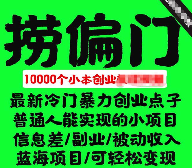 千款捞偏门小本创业小项目，总有一款适合你【无水印】-网创社区
