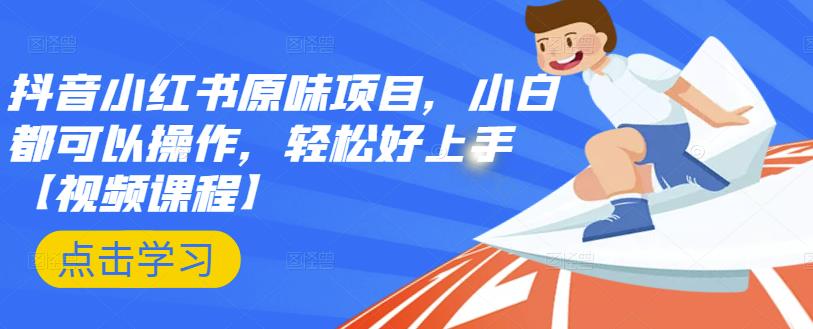 抖音小红书原味项目，小白都可以操作，轻松好上手【视频课程】-网创社区
