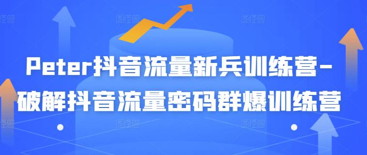 Peter抖音流量新兵训练营-破解抖音流量密码群爆训练营（新兵）-网创社区