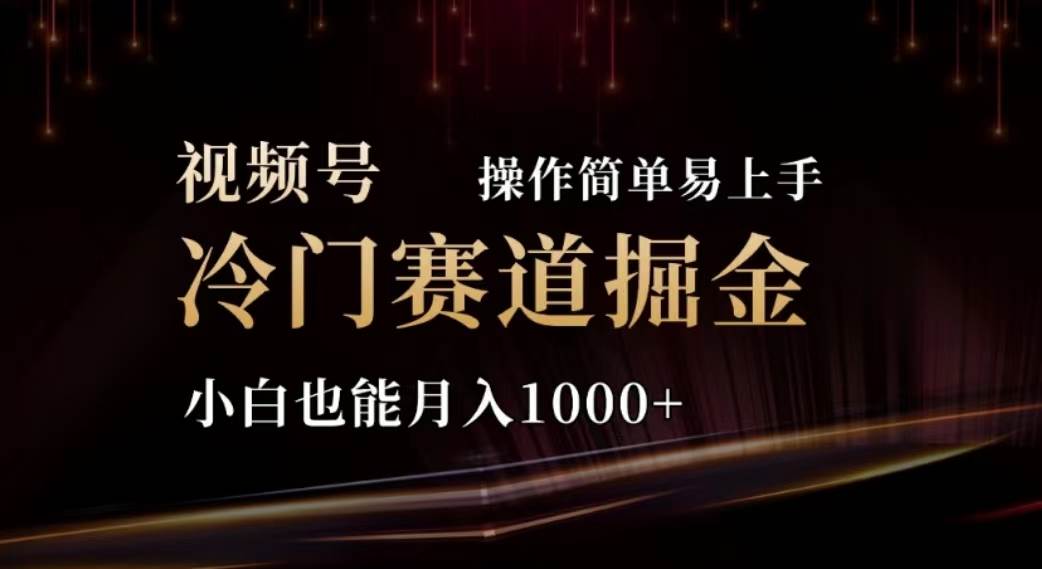 2024视频号冷门赛道掘金，操作简单轻松上手，小白也能月入1000+-网创社区