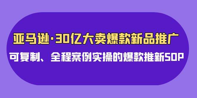 亚马逊30亿·大卖爆款新品推广，可复制、全程案例实操的爆款推新SOP-网创社区