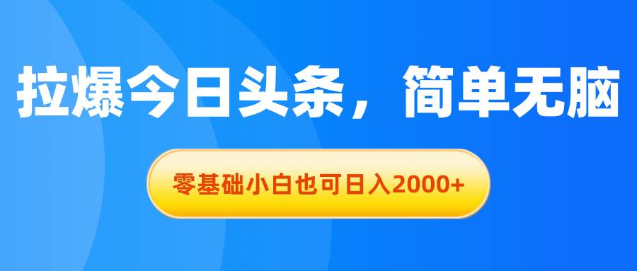 拉爆今日头条，简单无脑，零基础小白也可日入2000+-网创社区