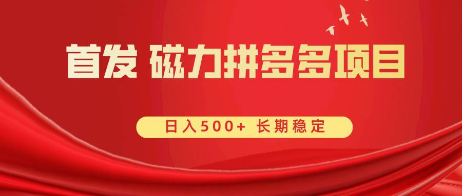 首发 磁力拼多多自撸  日入500+-网创社区