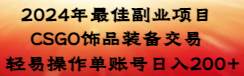 2024年最佳副业项目 CSGO饰品装备交易 轻易操作单账号日入200+-网创社区