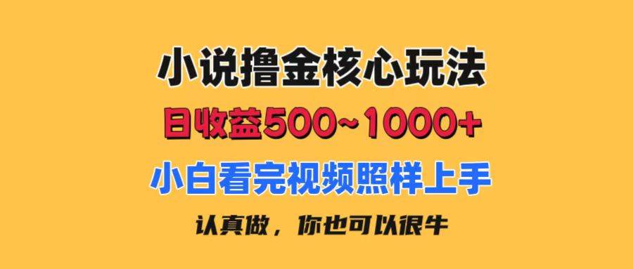 小说撸金核心玩法，日收益500-1000+，小白看完照样上手，0成本有手就行-网创社区