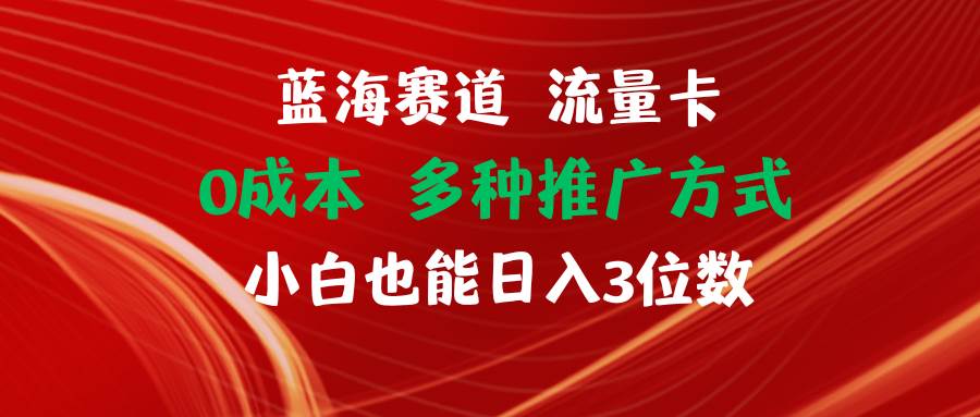 蓝海赛道 流量卡 0成本 小白也能日入三位数-网创社区
