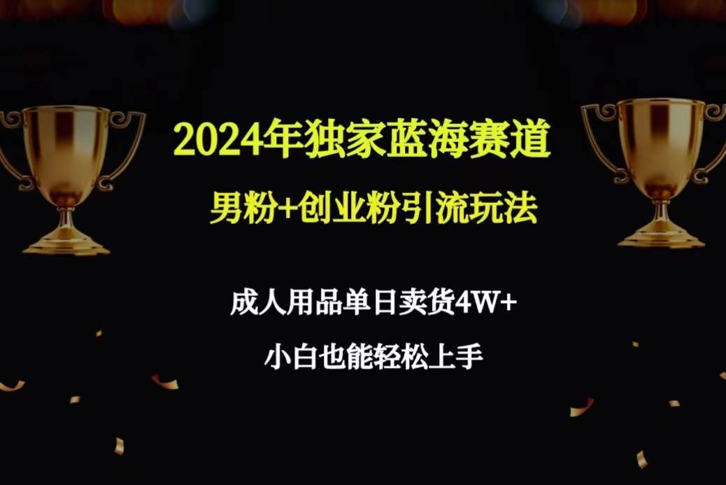 2024年独家蓝海赛道男粉+创业粉引流玩法，成人用品单日卖货4W+保姆教程-网创社区