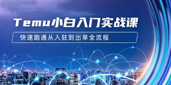 Temu小白入门实战课：跨境拼多多电商培训 快速跑通从入驻到出单全流程-12节-网创社区