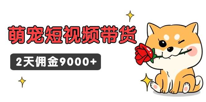 东哲日记·萌宠短视频带货，2天佣金9000+-网创社区