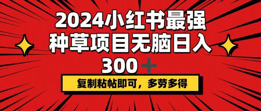 2024小红书最强种草项目，无脑日入300+，复制粘帖即可，多劳多得-网创社区