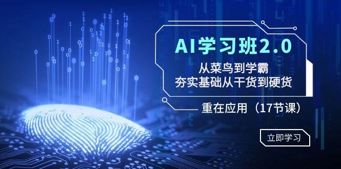 AI学习班2.0：从菜鸟到学霸，夯实基础从干货到硬货，重在应用（17节课）-网创社区