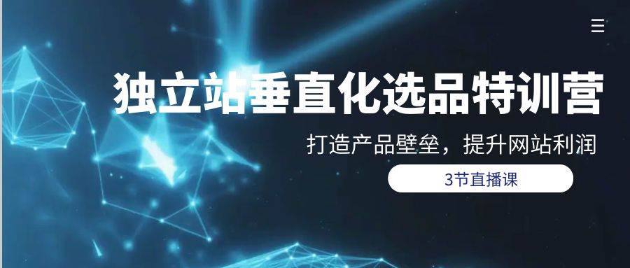 独立站-垂直化选品训练营，打造产品壁垒，提升网站利润（3节直播课）-网创社区