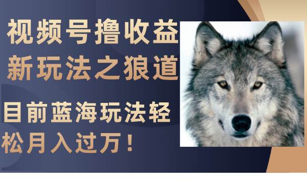 视频号撸收益新玩法之狼道，目前蓝海玩法轻松月入过万！-网创社区