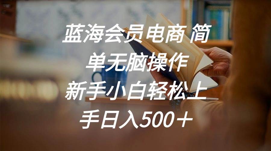 蓝海会员电商 简单无脑操作 新手小白轻松上手日入500＋-网创社区