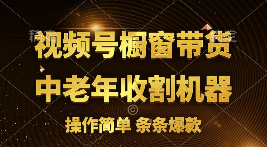 [你的孩子成功取得高位]视频号最火爆赛道，橱窗带货，流量分成计划，条…-网创社区