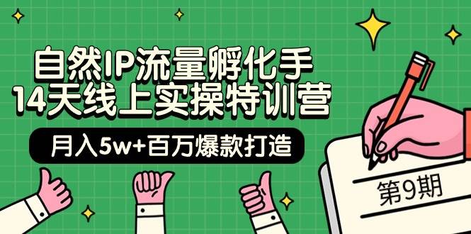自然IP流量孵化手 14天线上实操特训营【第9期】月入5w+百万爆款打造 (74节)-网创社区