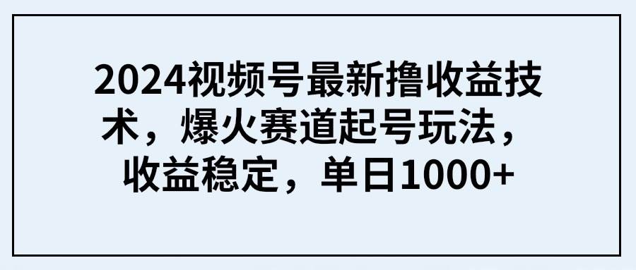 2024视频号最新撸收益技术，爆火赛道起号玩法，收益稳定，单日1000+-网创社区