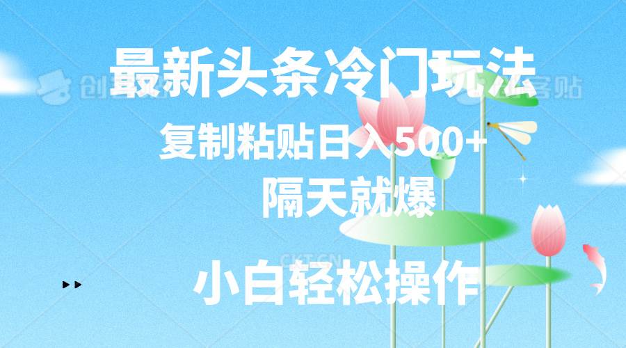 最新头条冷门玩法，隔天就爆，复制粘贴日入500+-网创社区