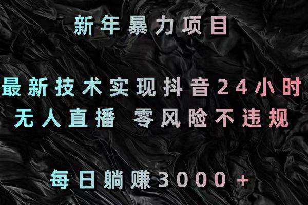 新年暴力项目，最新技术实现抖音24小时无人直播 零风险不违规 每日躺赚3000-网创社区