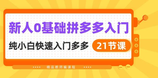新人0基础拼多多入门，纯小白快速入门多多（21节课）-网创社区