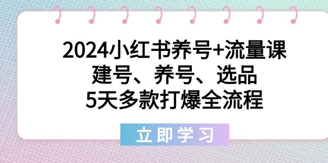 2024小红书养号+流量课：建号、养号、选品，5天多款打爆全流程-网创社区