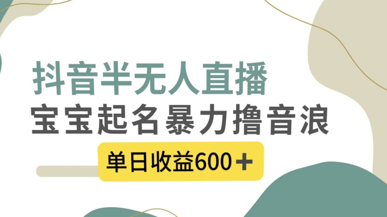 抖音半无人直播，宝宝起名，暴力撸音浪，单日收益600+-网创社区