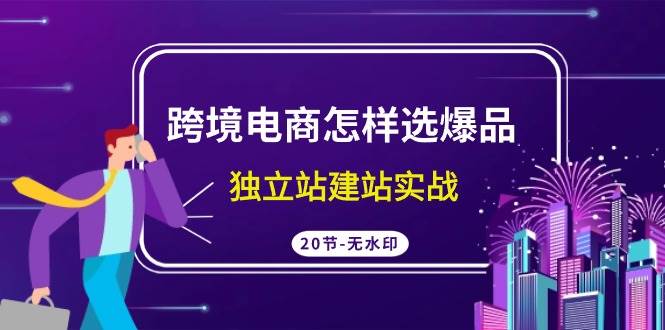 跨境电商怎样选爆品，独立站建站实战（20节高清无水印课）-网创社区