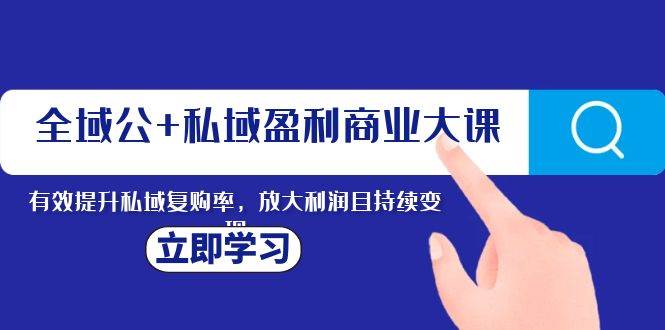 全域公+私域盈利商业大课，有效提升私域复购率，放大利润且持续变现-网创社区