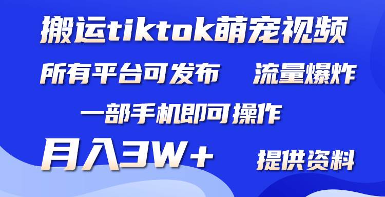 搬运Tiktok萌宠类视频，一部手机即可。所有短视频平台均可操作，月入3W+-网创社区