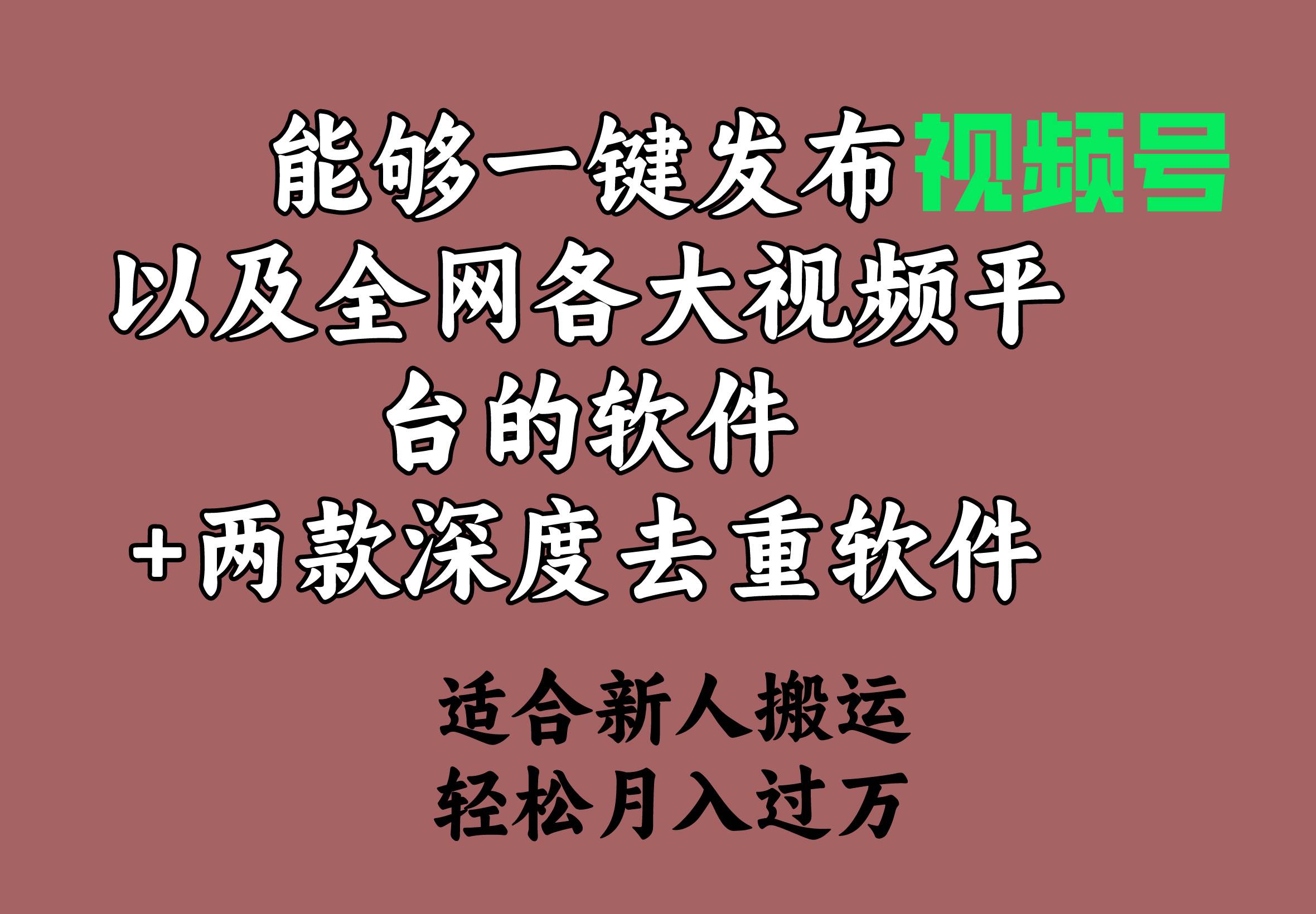 能够一键发布视频号以及全网各大视频平台的软件+两款深度去重软件 适合…-网创社区