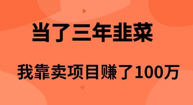 当了3年韭菜，我靠卖项目赚了100万-网创社区