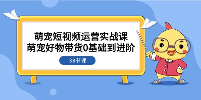 萌宠·短视频运营实战课：萌宠好物带货0基础到进阶（38节课）-网创社区