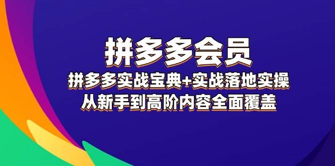 拼多多 会员，拼多多实战宝典+实战落地实操，从新手到高阶内容全面覆盖-网创社区