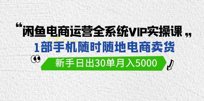 闲鱼电商运营全系统VIP实战课，1部手机随时随地卖货，新手日出30单月入5000-网创社区