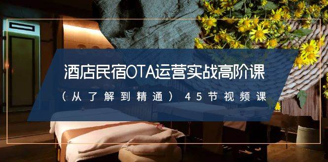 酒店民宿-OTA运营实战高阶课（从了解到精通）45节视频课-网创社区