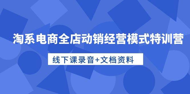 淘系电商全店动销经营模式特训营，线下课录音+文档资料-网创社区