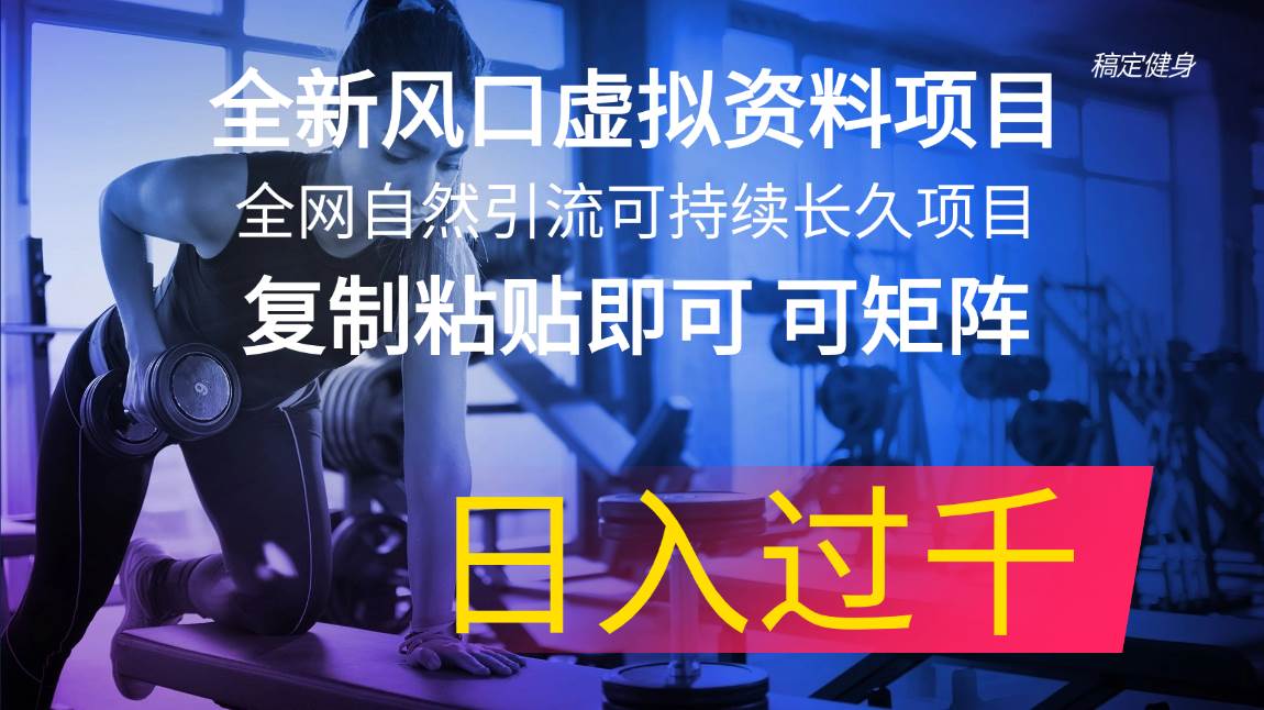全新风口虚拟资料项目 全网自然引流可持续长久项目 复制粘贴即可可矩阵…-网创社区