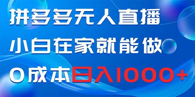 拼多多无人直播，小白在家就能做，0成本日入1000+-网创社区