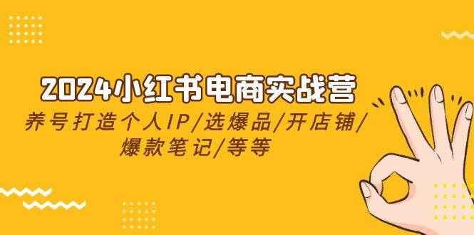 2024小红书电商实战营，养号打造IP/选爆品/开店铺/爆款笔记/等等（24节）-网创社区