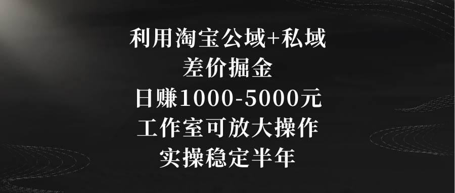 利用淘宝公域+私域差价掘金，日赚1000-5000元，工作室可放大操作，实操…-网创社区
