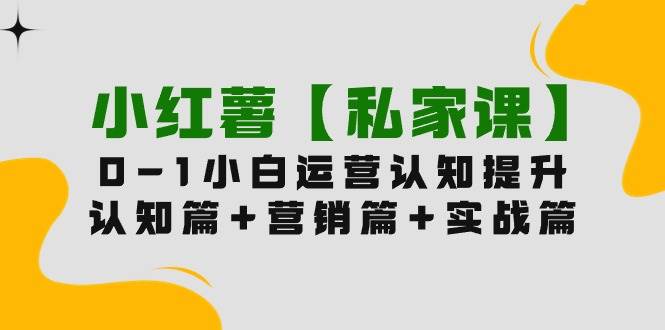 小红薯【私家课】0-1玩赚小红书内容营销，认知篇+营销篇+实战篇（11节课）-网创社区