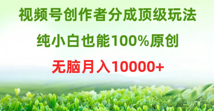 视频号创作者分成顶级玩法，纯小白也能100%原创，无脑月入10000+-网创社区