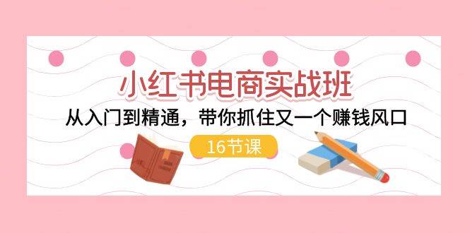 小红书电商实战班，从入门到精通，带你抓住又一个赚钱风口（16节）-网创社区