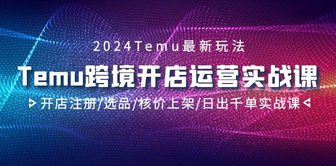 2024Temu跨境开店运营实战课，开店注册/选品/核价上架/日出千单实战课-网创社区