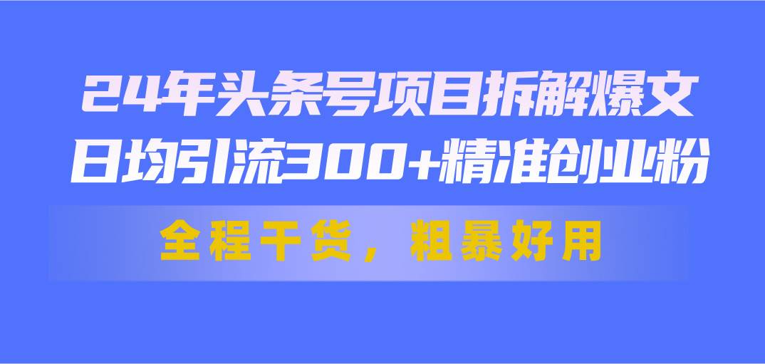 24年头条号项目拆解爆文，日均引流300+精准创业粉，全程干货，粗暴好用-网创社区