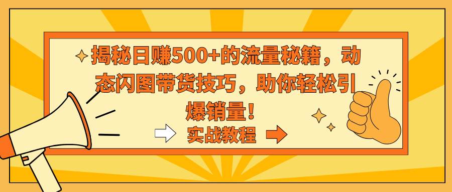 揭秘日赚500+的流量秘籍，动态闪图带货技巧，助你轻松引爆销量！-网创社区