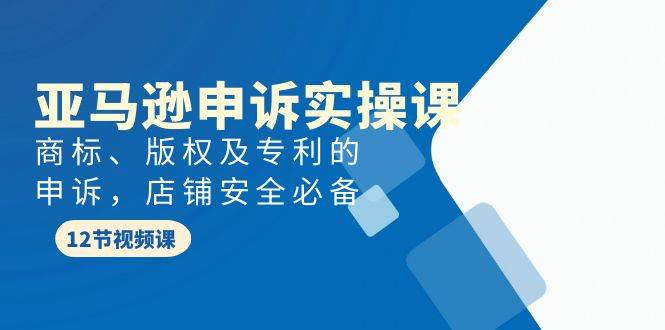 亚马逊-申诉实战课，商标、版权及专利的申诉，店铺安全必备-网创社区