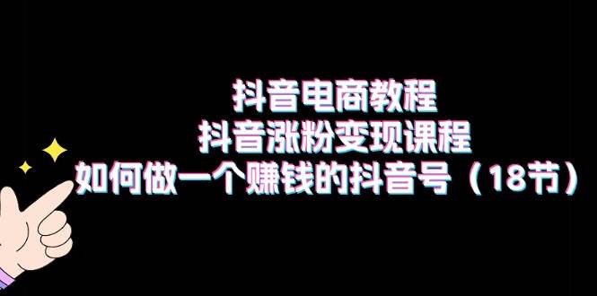 抖音电商教程：抖音涨粉变现课程：如何做一个赚钱的抖音号（18节）-网创社区