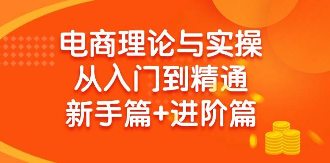 电商理论与实操从入门到精通 新手篇+进阶篇-网创社区